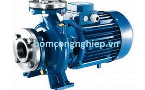Cách chọn máy bơm nước công suất 1000m3/h