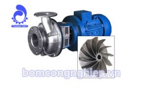Cánh máy bơm nước có vai trò gì? Một số loại cánh bơm cơ bản