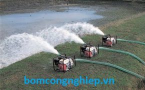 Chia sẻ bí kíp sử dụng máy bơm nước chạy xăng hiệu quả, an toàn