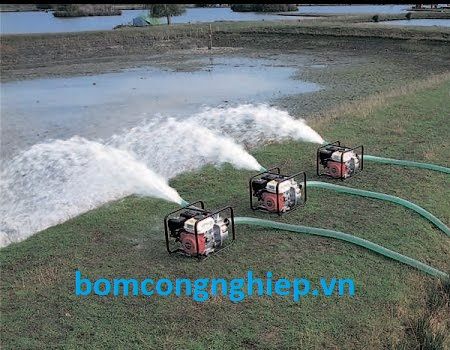 M&aacute;y bơm nước chạy xăng
