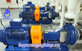 Đại lý bán máy bơm nước tại Quảng Ninh