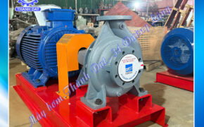 Máy bơm Ebara 125x100FS2JCA555 – 55w