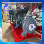 Máy bơm Ebara 250X200FS4LA5132 – 132kw