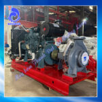 Máy bơm Ebara 200X150FS4NA5 132 – 132kw