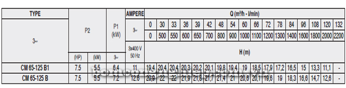 Bảng thông số kỹ thuật chi tiết của máy bơm công nghiệp Pentax CM 65-125B
