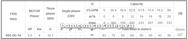 Bảng thông số kỹ thuật chi tiết của máy bơm giếng khoan Mastra R95-DG-14