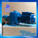 Máy bơm họng súng Pentax CAB 200 2HP