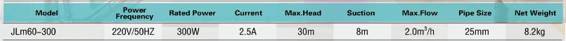 Bảng th&ocirc;ng số kỹ thuật của m&aacute;y bơm ch&acirc;n kh&ocirc;ng Japan JLm60-300