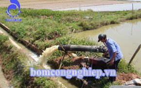 Máy bơm nước đồng ruộng