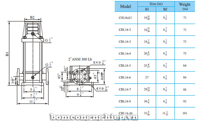 Bảng th&ocirc;ng số chi tiết k&iacute;ch thước của m&aacute;y bơm nước trục đứng CNP CDL16/CDLF16