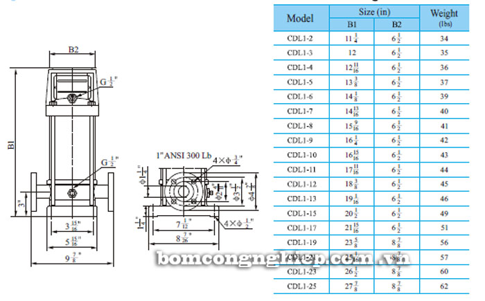 Bảng th&ocirc;ng số chi tiết k&iacute;ch thước của m&aacute;y bơm nước trục đứng CNP CDL1/CDLF1
