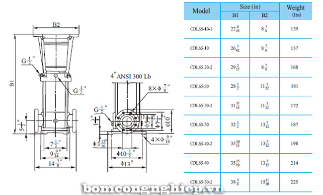 Bảng th&ocirc;ng số chi tiết k&iacute;ch thước của m&aacute;y bơm nước trục đứng CNP CDL65/CDLF65