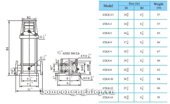 Bảng th&ocirc;ng số chi tiết k&iacute;ch thước của m&aacute;y bơm nước trục đứng CNP CDL8/CDLF8