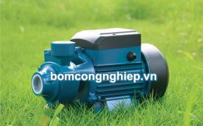 Nên mua máy bơm nước dân dụng của hãng nào?