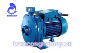 Thành Đạt nhà phân phối độc quyền máy bơm nước Milano
