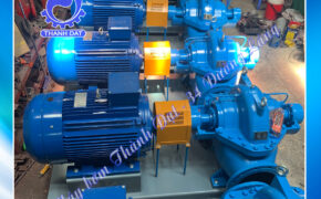 Máy bơm hai cửa hút Kaiquan Series KQSN250- M(N)4