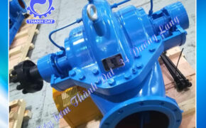 Máy bơm hai cửa hút Kaiquan Series KQSN300- M(N)6