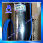 Máy bơm giếng khoan Pentax 6L 43/15 25HP