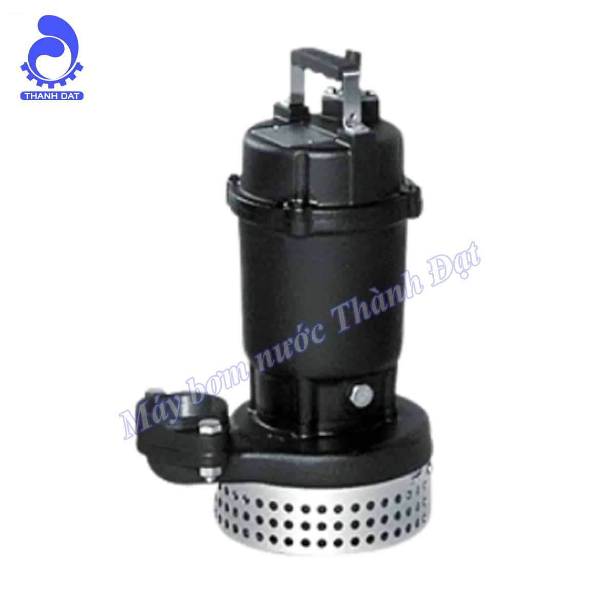 Máy bơm nước thải Ebara DS Máy bơm nước thải Ebara DS