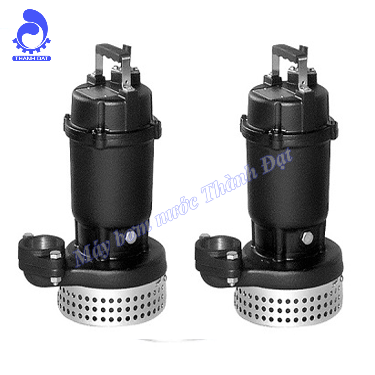 Máy bơm nước thải Ebara DS Máy bơm nước thải Ebara DS