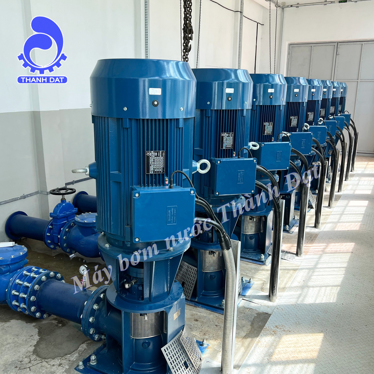 Máy bơm trục đứng Pentax MSVA