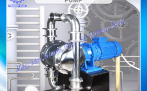 Bơm thực phẩm điện Godo DBW3-80