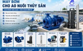 Máy bơm ao nuôi thủy sản