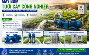 Máy bơm tưới cây công nghiệp